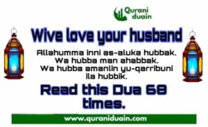 Wives Love Your Husband