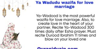 Best Ya Wadudu wazifa for love